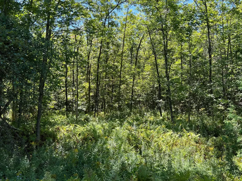 Map 1 Lot 16 Dexter Road Garland ME 04939