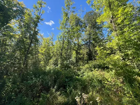 Map 1 Lot 16 Dexter Road Garland ME 04939