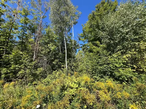 Map 1 Lot 16 Dexter Road Garland ME 04939