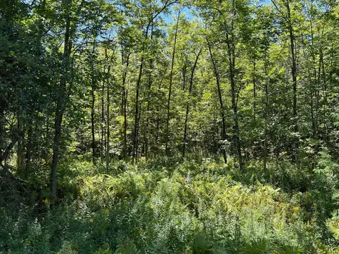 Map 1 Lot 16 Dexter Road Garland ME 04939