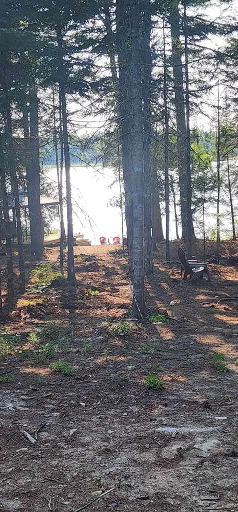6 Wilderness Way Wesley ME 04686