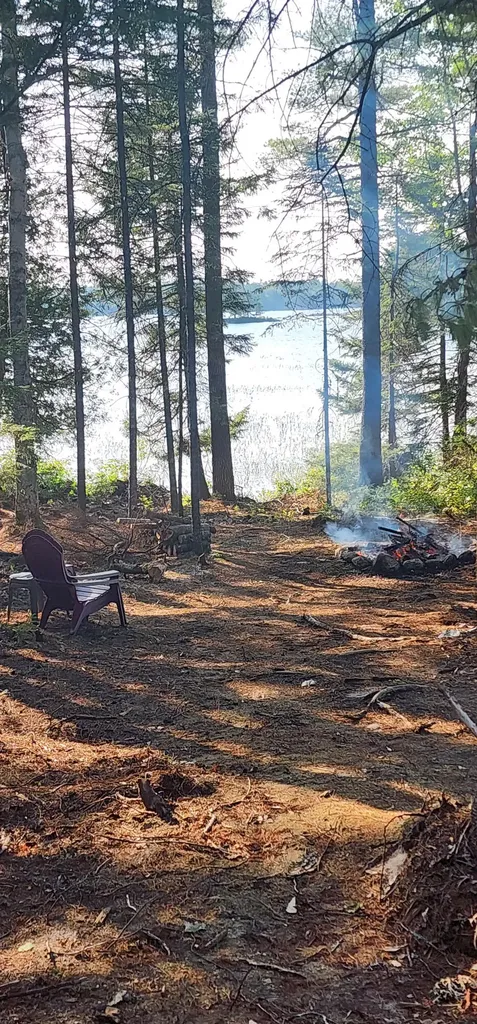 6 Wilderness Way Wesley ME 04686