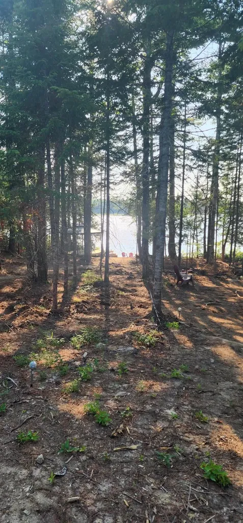 6 Wilderness Way Wesley ME 04686