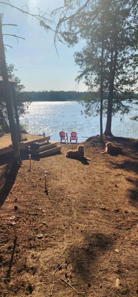 6 Wilderness Way Wesley ME 04686