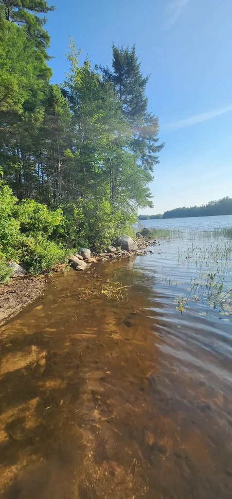 6 Wilderness Way Wesley ME 04686