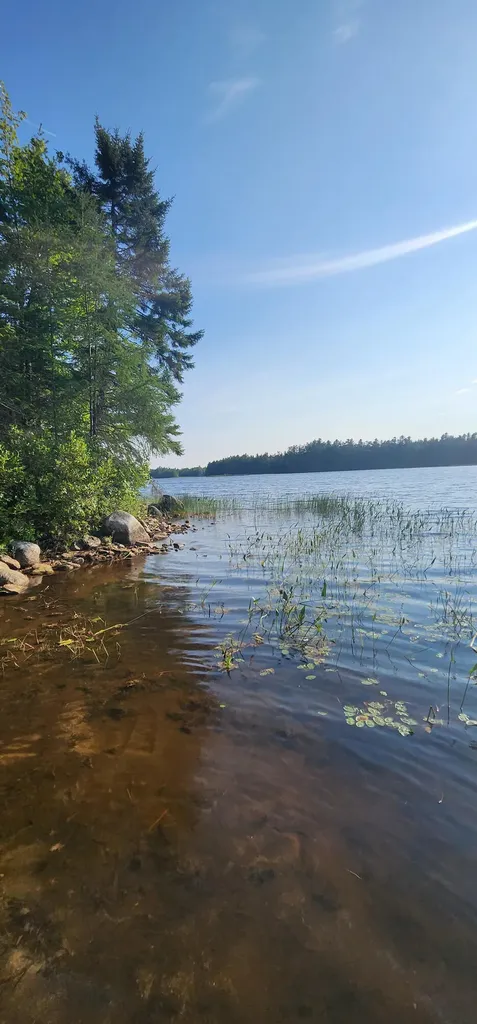 6 Wilderness Way Wesley ME 04686
