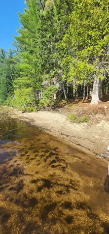 6 Wilderness Way Wesley ME 04686
