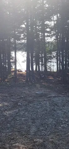 6 Wilderness Way Wesley ME 04686