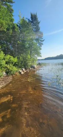 6 Wilderness Way Wesley ME 04686
