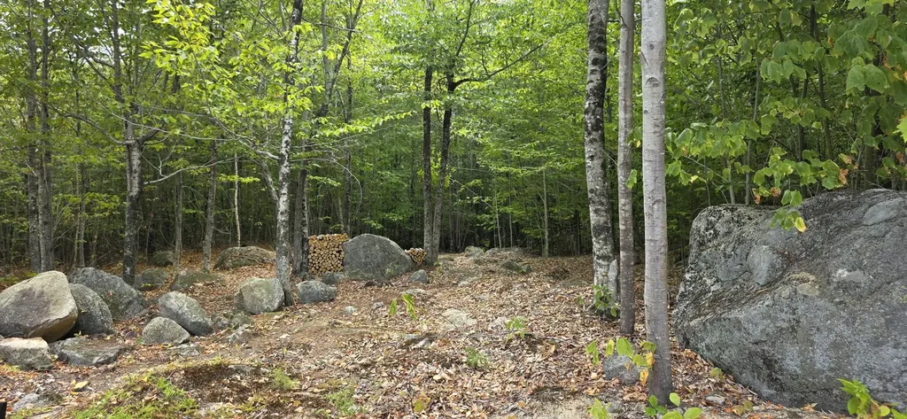 52 High Ridge Road Norway ME 04268