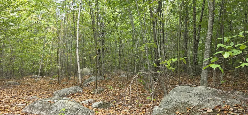52 High Ridge Road Norway ME 04268