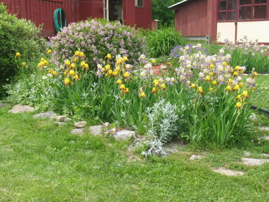 16 Anderson Road Vienna ME 04360