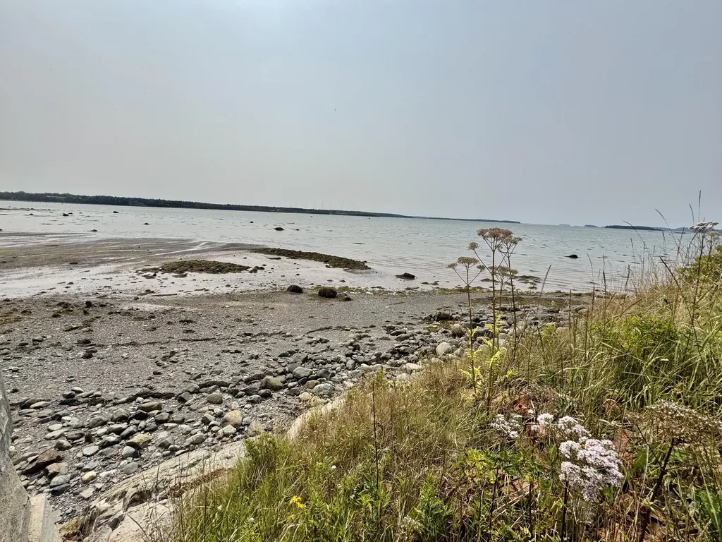 1112 Cutler Road Whiting ME 04691