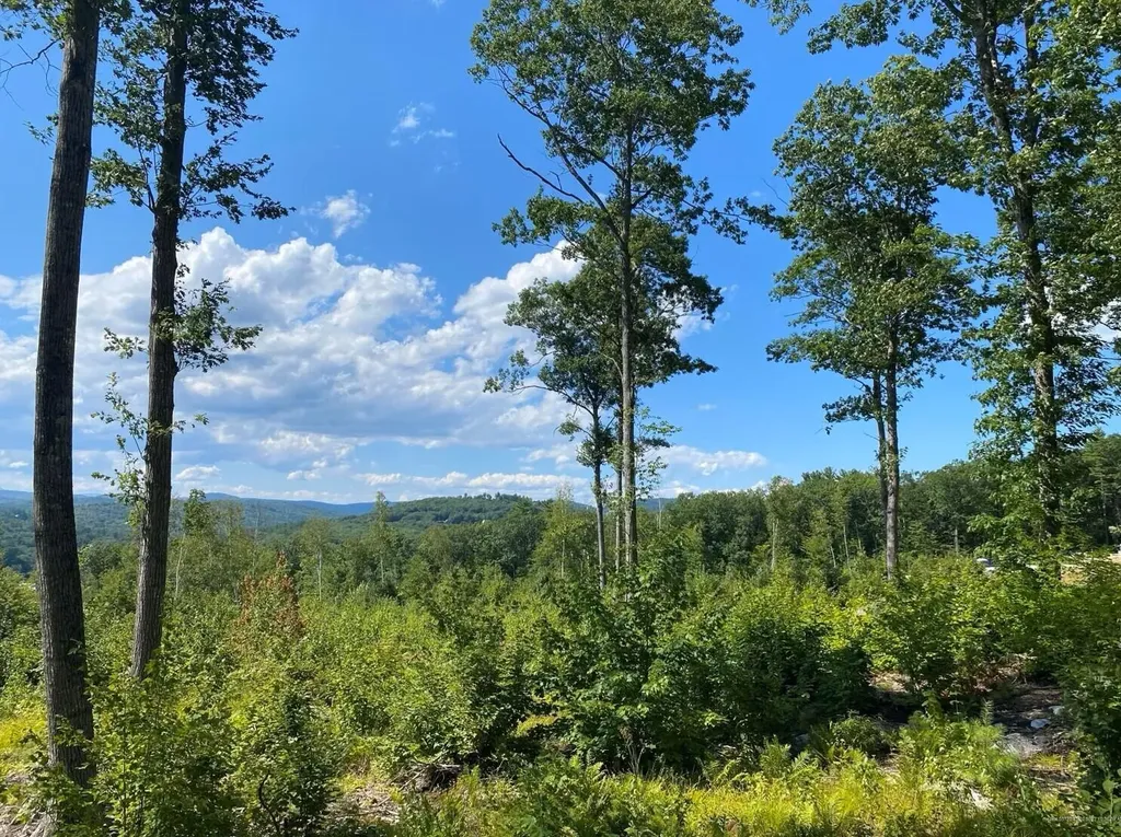 Lot 17 Birch Circle Harrison ME 04040