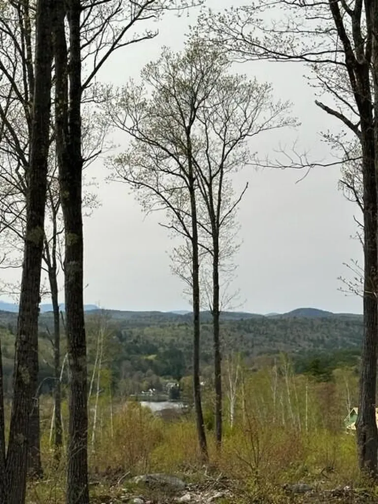 Lot 17 Birch Circle Harrison ME 04040