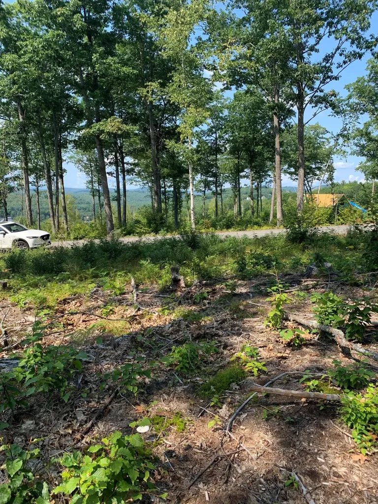 Lot 17 Birch Circle Harrison ME 04040
