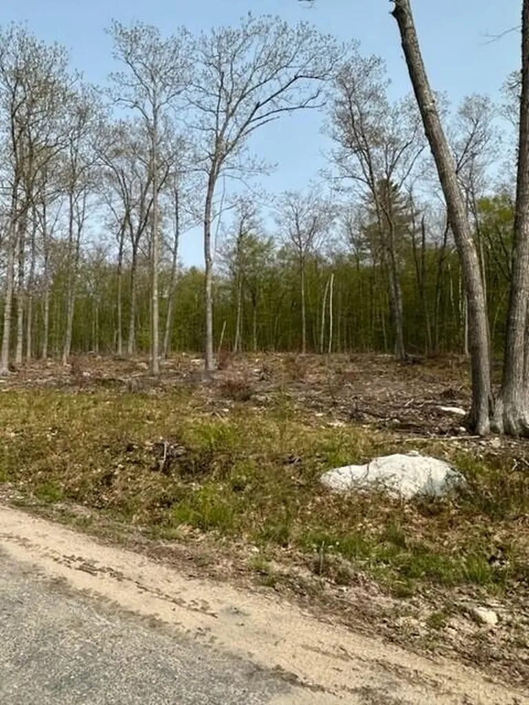 Lot 17 Birch Circle Harrison ME 04040