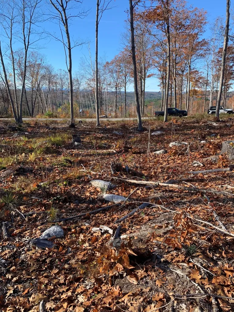 Lot 17 Birch Circle Harrison ME 04040