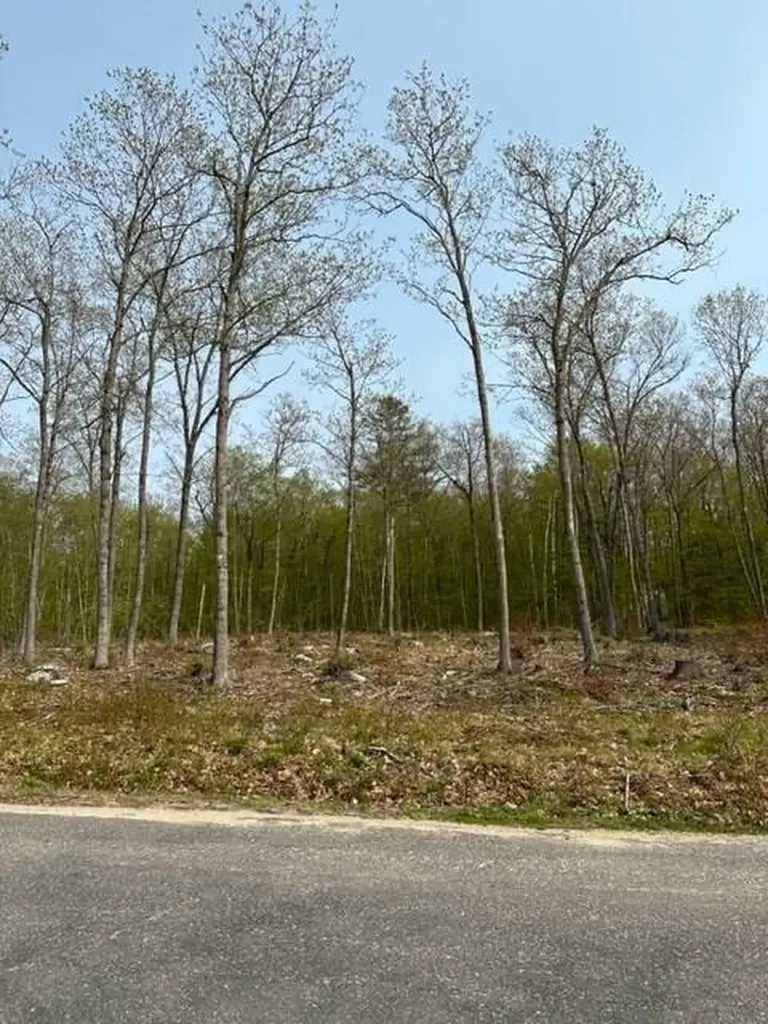 Lot 17 Birch Circle Harrison ME 04040