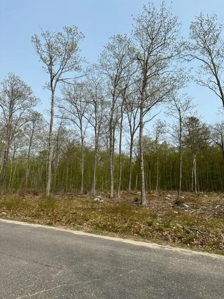 Lot 17 Birch Circle Harrison ME 04040