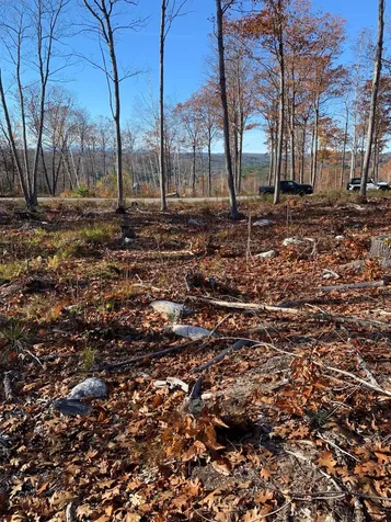 Lot 17 Birch Circle Harrison ME 04040