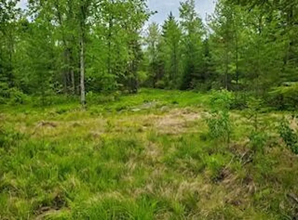 3A Winter Hill Lane Monson ME 04464
