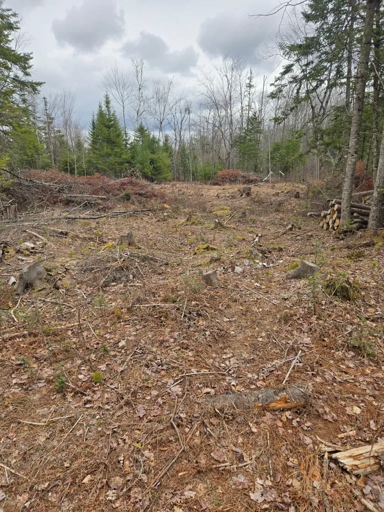 3A Winter Hill Lane Monson ME 04464