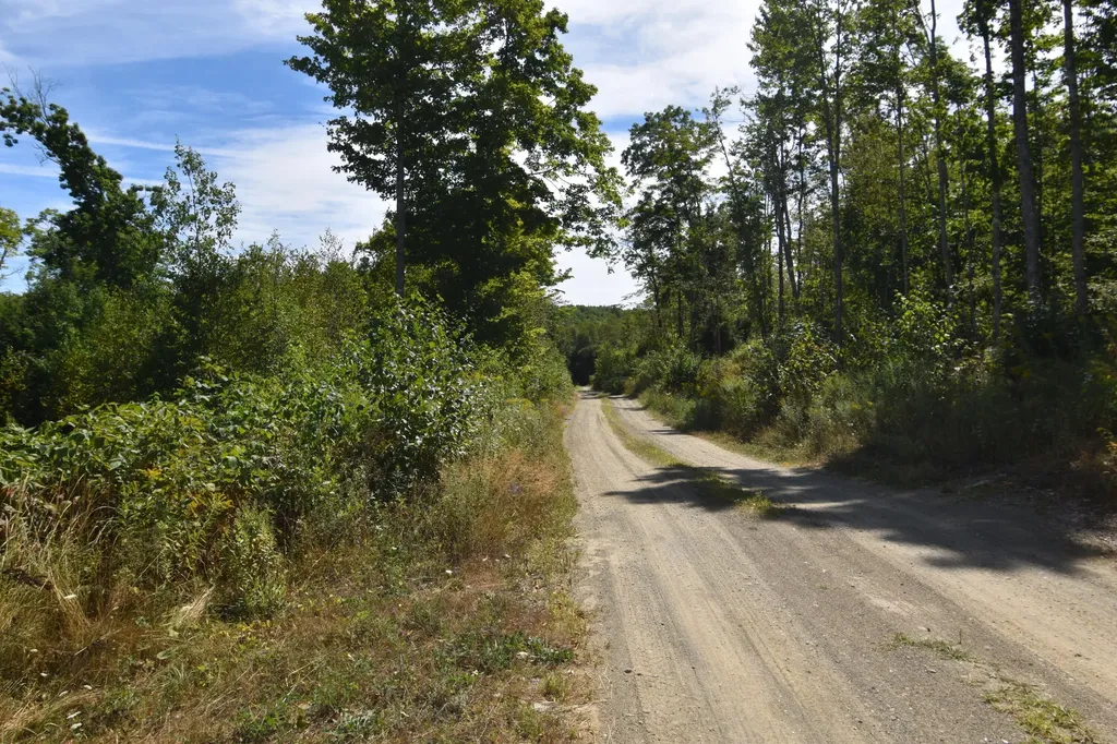 Lot 3 & 4 Nason Hill Road Dixmont ME 04932
