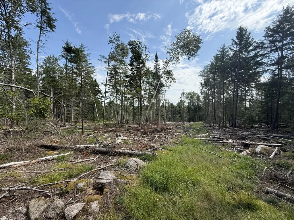 M3L66&66-2 Sunset Cross Road Deer Isle ME 04627