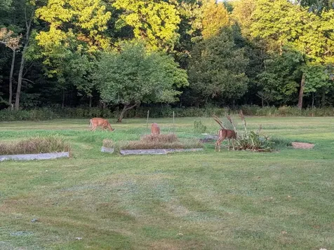 751 Holley Road Farmington ME 04938