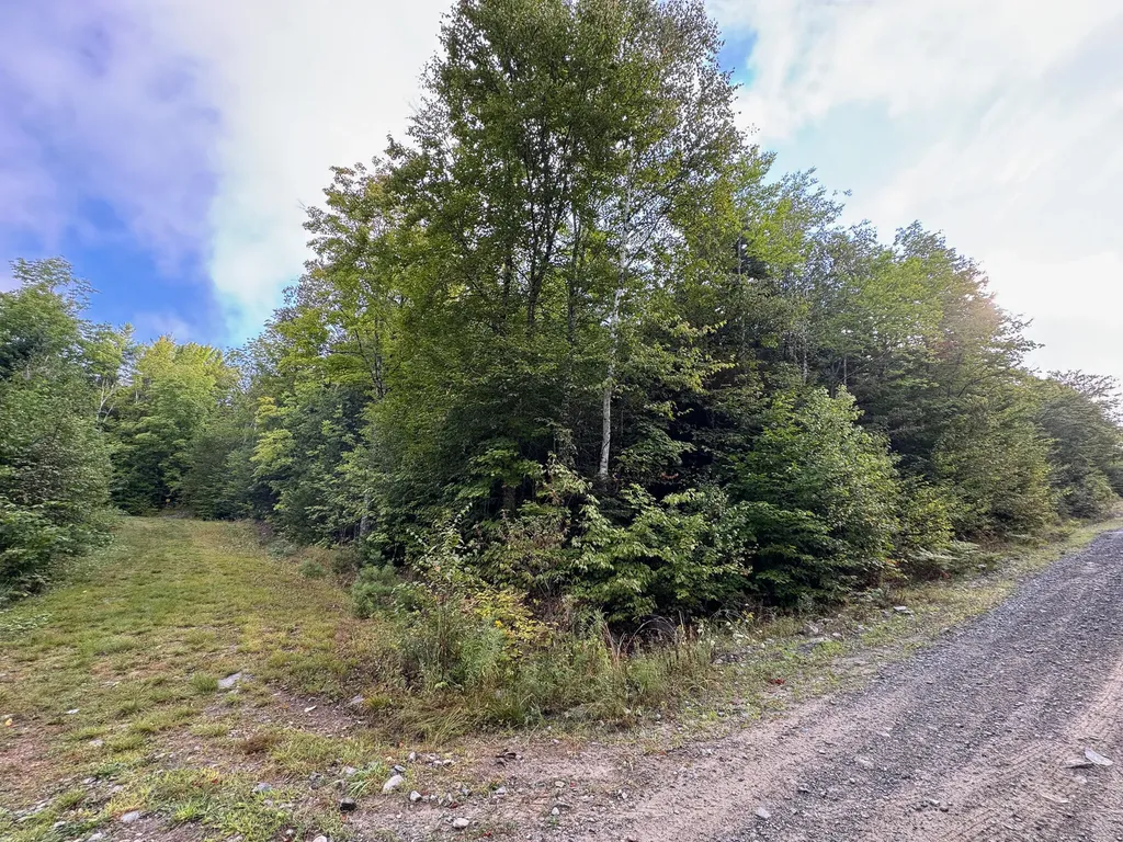Lot 8 & 9 Moores Road Springfield ME 04487