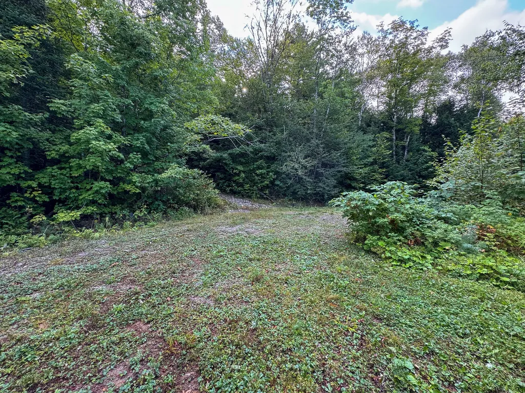 Lot 8 & 9 Moores Road Springfield ME 04487