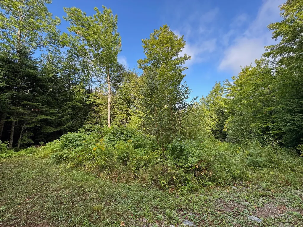 Lot 8 & 9 Moores Road Springfield ME 04487