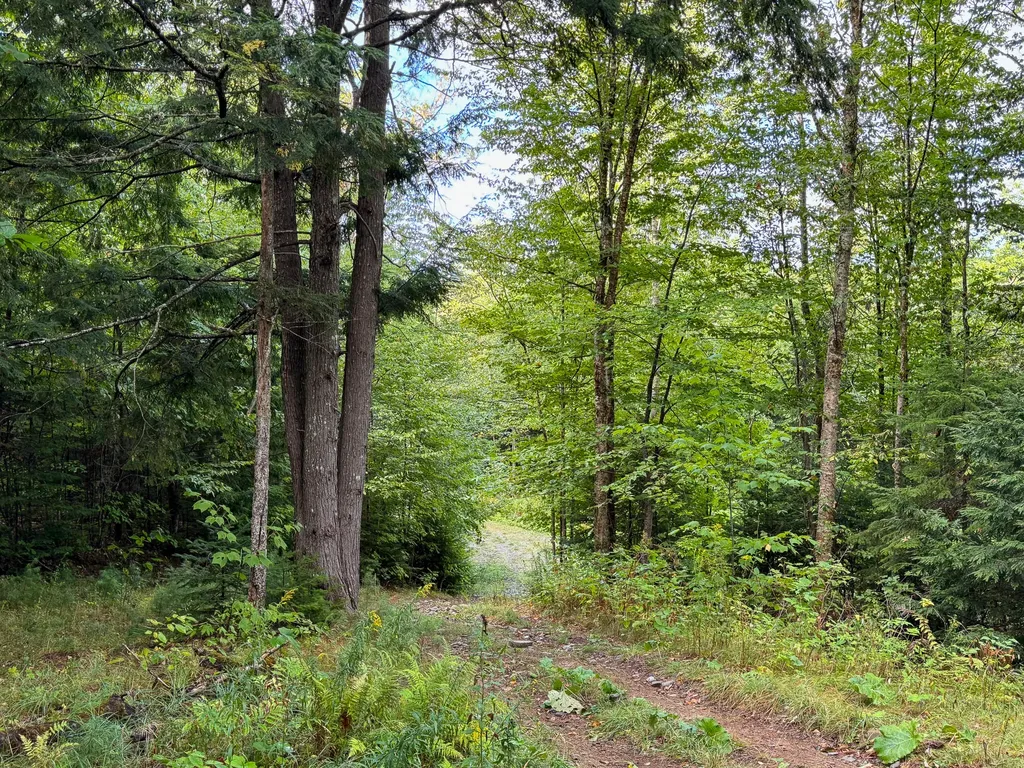 Lot 8 & 9 Moores Road Springfield ME 04487