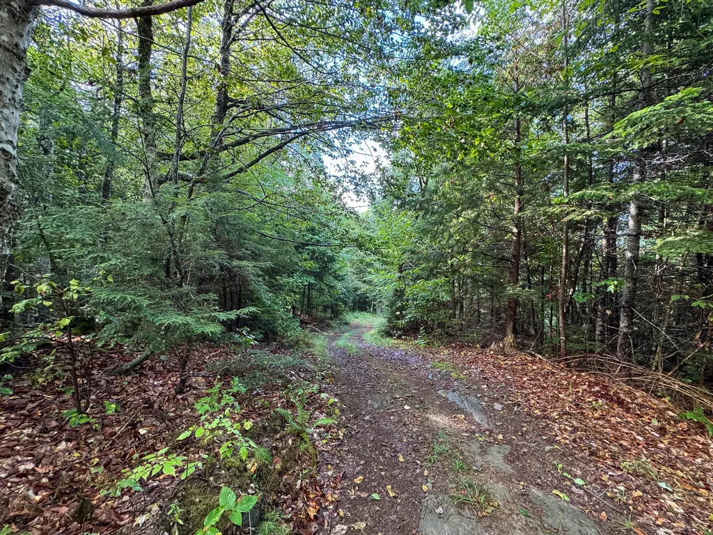 Lot 8 & 9 Moores Road Springfield ME 04487