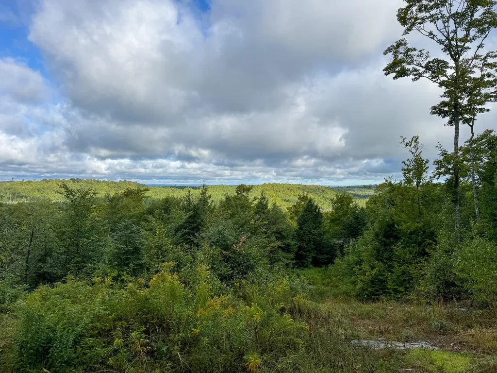 Lot 8 & 9 Moores Road Springfield ME 04487
