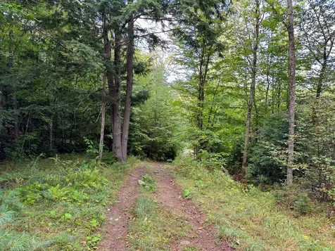 Lot 8 & 9 Moores Road Springfield ME 04487