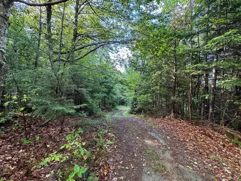 Lot 8 & 9 Moores Road Springfield ME 04487