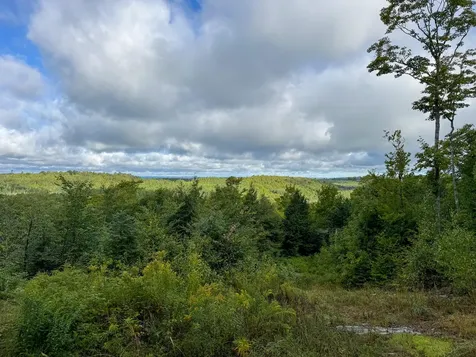 Lot 8 & 9 Moores Road Springfield ME 04487