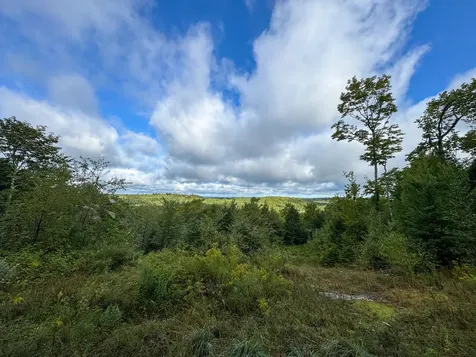 Lot 8 & 9 Moores Road Springfield ME 04487
