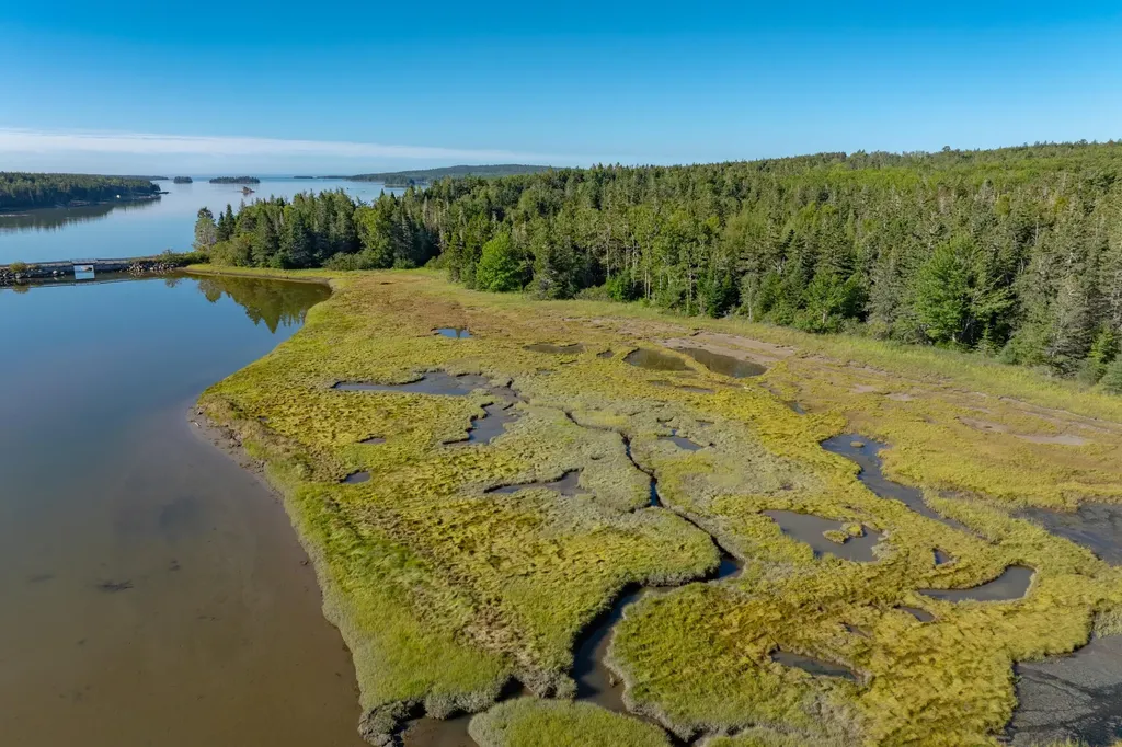 Lot 54 Pinkham Bay Bridge Road Steuben ME 04680