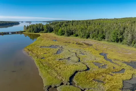 Lot 54 Pinkham Bay Bridge Road Steuben ME 04680