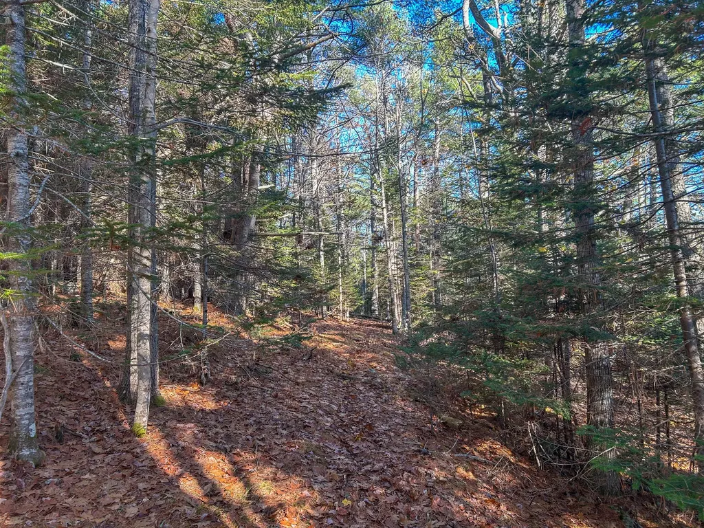 Lot #13-1 Shore Road Ellsworth ME 04605
