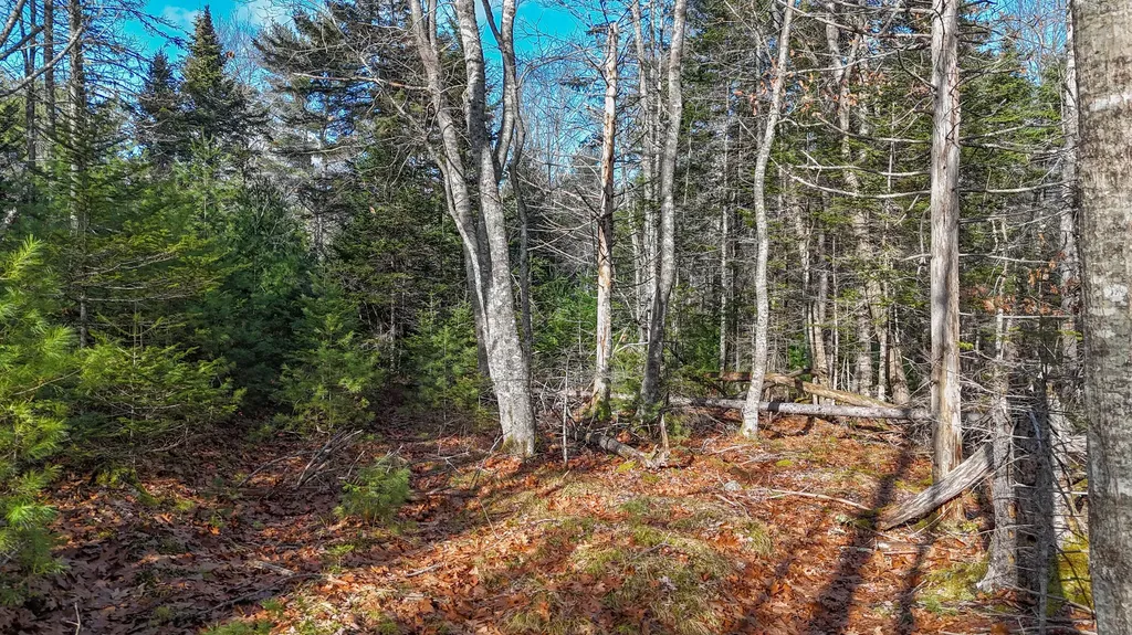 Lot #13-1 Shore Road Ellsworth ME 04605