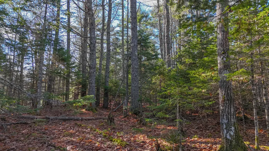 Lot #13-1 Shore Road Ellsworth ME 04605