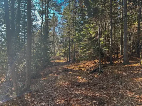 Lot #13-1 Shore Road Ellsworth ME 04605