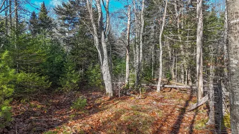 Lot #13-1 Shore Road Ellsworth ME 04605