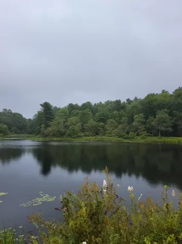 Lot #13-1 Shore Road Ellsworth ME 04605