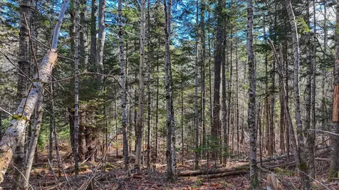 Lot #13-1 Shore Road Ellsworth ME 04605