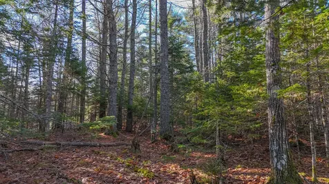 Lot #13-1 Shore Road Ellsworth ME 04605